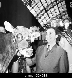 Le comédien Ken Dodd rencontre la vache primée Luna à Olympia, Londres, où il visitait le Royal Dairy Show. Il prenait du thé avec la reine des produits laitiers d'Angleterre et du pays de Galles lors d'une fête de thé de Mad Hatter sur le stand « Alice in Dairyland » du Conseil national des produits laitiers. Banque D'Images