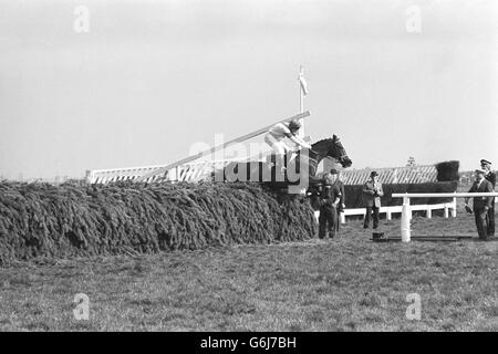 Aldaniti avec Bob Champion dans la selle saute la dernière clôture à aller pour gagner le Grand National handicap Steeplechase à Aintree, Liverpool. Banque D'Images