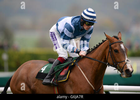 Les courses de chevaux - l'Open Festival 2013 - Paddy Power Gold Cup Day - l'Hippodrome de Cheltenham Banque D'Images