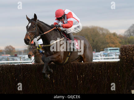 NUTS N s'engage sur la voie de la victoire dans le Betfair engage 40 millions de livres sterling à British Racing Chase pendant le Betfair Chase Festival au Haydock Park Racecourse, Newton-le-Willows. Banque D'Images