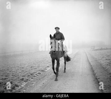 De retour dans la selle se trouve le jockey LESTER PIGGOTT, 16 ans, qui parcourt TEREK au-dessus d'une route couverte de givre près de sa maison à Lambourn, dans le Berkshire. Piggott a cassé une jambe quand aucune lumière est tombée avec lui à Lingfield Park en août. Il a maintenant commencé à travailler de nouveau et son père, Keith Piggott, dit qu'à l'exception d'une légère boiterie, la jambe ne donne aucun problème au garçon et qu'il s'améliore chaque jour. Banque D'Images