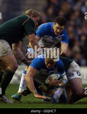 Rugby Union - Test d'automne viagogo - Ecosse / Afrique du Sud - Murrayfield.David Denton, en Écosse, détiendra l'Afrique du Sud lors du match du test d'automne du viagogo à Murrayfield, Édimbourg. Banque D'Images