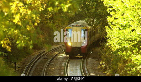 Un train du Sud-Ouest à Surrey, alors que la stratégie de Network Rail pour éliminer les feuilles des lignes semble avoir payé. Le problème persistant des feuilles mortes qui collent aux pistes et causent le chaos des voyages a été une plaisanterie douloureuse mais longue mais avec la pluie et les vents forts au cours du week-end, Le réseau ferroviaire employait plus de 30 véhicules polyvalents (MPV) pour faire fonctionner du sandite - une concoction de sable et de colle - sur des milliers de kilomètres de ligne pour gratter le paillis. 04/06/2004 réseau ferroviaire le vendredi 3 juin 2004, a déposé une offre de rémunération révisée lors de discussions « très constructives » avec les dirigeants syndicaux Banque D'Images