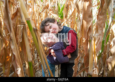 Les jeunes frères et sœurs embracing in cornfield, portrait Banque D'Images