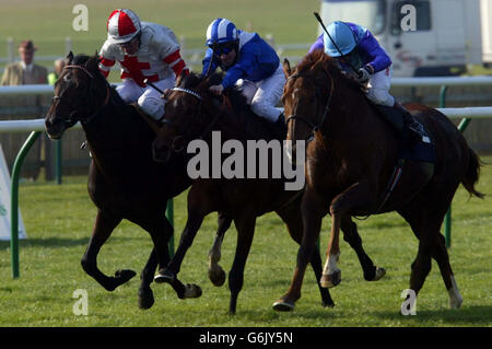 Perse Punch monté par Martin Dwyer (whip in the air) va battre Tholjanah monté par le centre de Richard Hills) et Milleary monté par Pat Eddery, sur son chemin pour gagner la Jockey Club Cup sur l'hippodrome de Rowley Mile à Newmarket. Banque D'Images