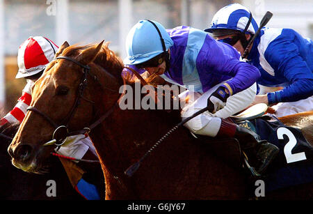 Persian Punch, monté par Martin Dwyer (numéro 2) sur le chemin de la coupe Jockey Club, au-dessus de l'hippodrome Rowley Mile à Newmarket. Banque D'Images