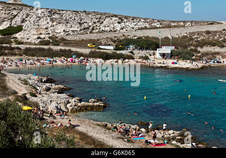 Plage, Calanques de Saint Esteve, Ile de l'archipel du Frioul, Ratonneu, Marseille ou Marseille, Provence-Alpes-Côte d'Azur, France Banque D'Images