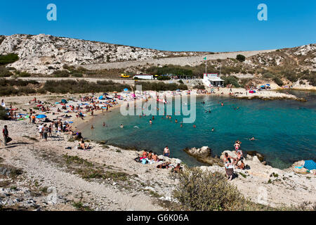 Plage, Calanques de Saint Esteve, Ile de l'archipel du Frioul, Ratonneu, Marseille ou Marseille, Provence-Alpes-Côte d'Azur, France Banque D'Images