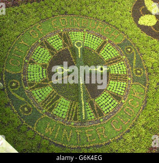 L'horloge d'hiver s'affiche dans les Princes Street Gardens d'Édimbourg, après les touches de finition, sur l'horloge florale mondialement connue d'Édimbourg. Banque D'Images