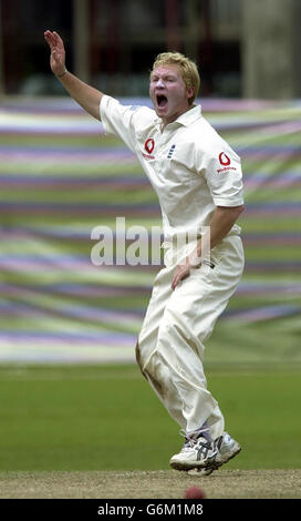 Gareth Batty, le joueur d'Angleterre, lance un appel sans succès pour le cricket de Rusel Arnold alors que l'Angleterre prend le XI du président du cricket du Sri Lanka au Colombo Cricket Club en préparation de la prochaine série d'essais. Banque D'Images