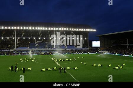 Soccer - Barclays Premier League - Everton v Fulham - Goodison Park Banque D'Images