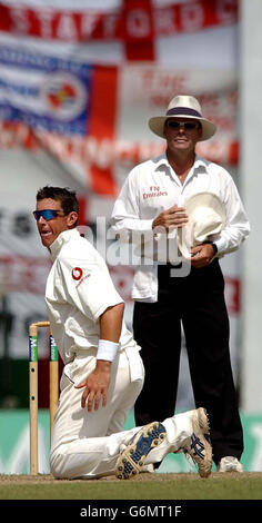 Ashley Giles est frustré, car l'arbitre Daryl Harper a fait un autre appel alors que l'Angleterre s'en prend au Sri Lanka le deuxième jour du deuxième Test de la série des trois matchs. Banque D'Images