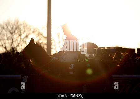 Les courses de chevaux - 2013 William Hill Winter Festival - Jour 1 - Kempton Park Racecourse Banque D'Images