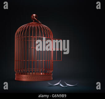 Une cage à oiseaux avec des plumes - liberté concept illustration Banque D'Images