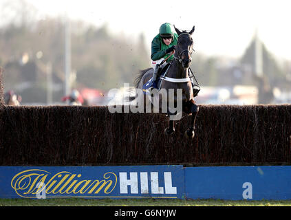 Les courses de chevaux - 2013 William Hill Winter Festival - Jour deux - Kempton Park Racecourse Banque D'Images