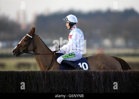 Courses hippiques - 2013 William Hill Yorkshire Winter Festival - première journée - Hippodrome de Wetherby.Jockey Tom Cannon sur Tullamore Dew avant le William Hill Rowland Meyrick Handicap Chase Banque D'Images