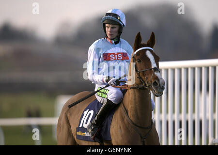 Les courses de chevaux - 2013 William Hill Yorkshire Winter Festival - Jour 1 - Hippodrome Wetherby Banque D'Images