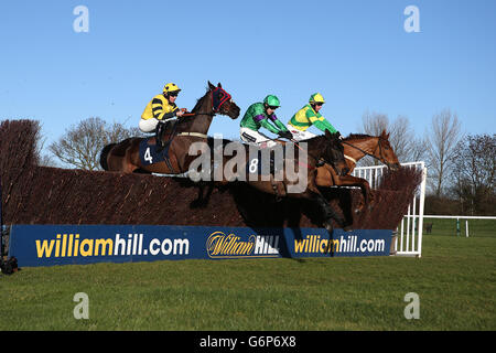 Les courses de chevaux - Huntingdon Hippodrome Banque D'Images