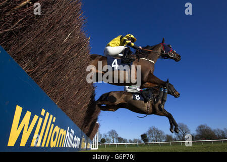 Les courses de chevaux - Huntingdon Hippodrome Banque D'Images