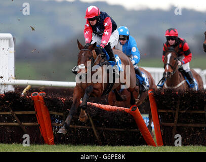 Courses hippiques - Hippodrome de Ludlow. Obstacle à l'hippodrome de Ludlow. Banque D'Images