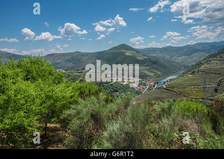 Paysage de la vallée du Douro, Portugal la région de production de vin, un UNESCO World Heritage Site. Banque D'Images