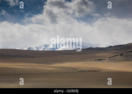 Paysage de l'ouest de la Mongolie Banque D'Images