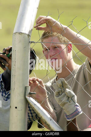 Le prince Harry, le plus jeune fils du prince Charles de Grande-Bretagne, rejoint les gens locaux alors qu'il contribue à la construction d'une clôture, à la maison des enfants de Mantst'ASE pour les orphelins près de Mohale's Hoek, à environ 60 kilomètres au sud de Maseru au Lesotho. le prince âgé de 19 ans se trouve dans le pays d'Afrique australe depuis trois semaines dans le cadre de son année de l'écart et a également rencontré des victimes du sida et des malades de la tuberculose, participé à d'autres projets communautaires et pris part à des visites touristiques. Banque D'Images