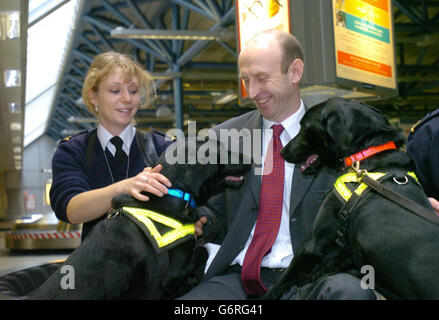 Le ministre des douanes, John Healey, avec l'agent des douanes, Stephanie Cartwright Taylor, et deux des chiens qui sont maintenant utilisés pour trouver des viandes et des poissons illégaux qui passent par Heathrow. De nouvelles règles strictes ont été mises en place à la fin de 2002 pour réduire la circulation à la suite d'une série de crises sanitaires au Royaume-Uni, notamment les épidémies de fièvre aphteuse et de peste porcine. Banque D'Images