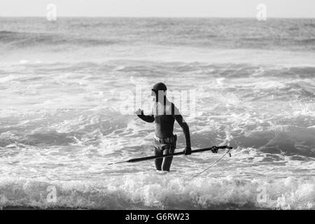 Diver avec des armes à feu non identifié la pêche au harpon sur la plage entre les vagues de l'océan Banque D'Images