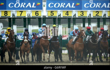 Le champ sort des stalles de démarrage du Coral.co.uk meilleures chances garanties sur les piquets Racing Maiden (classe 5) Banque D'Images