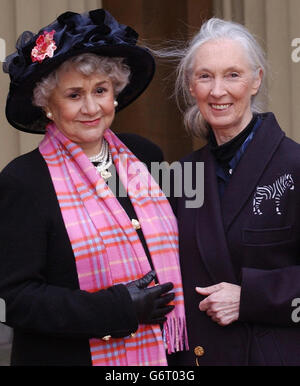 L'actrice renommée Joan Plowright (à gauche) rencontre Jane Goodall, la plus grande autorité au monde sur les chimpanzés, après qu'ils ont tous deux fait des Dames par le Prince de Galles au Palais de Buckingham à Londres. Dame Joan, veuve de Lord Olivier, est considérée comme l'une des plus grandes actrices de sa génération. Banque D'Images