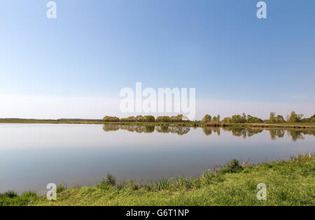 Grand lac, le long des rives couvertes de roseaux. Sur le lac il y a des pin et bouleau. Une journée sans nuages. Banque D'Images