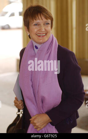 La secrétaire à la culture, Tessa Jowell, arrive à la réception qui s'est tenue au Palais de Buckingham, où des célébrités, des écrivains, des stars sportives, des universitaires et des hommes d'affaires figuraient parmi les nombreuses femmes qui ont été saluées par la famille royale.*26/07/04: Plus de 19 millions de dollars de la Loterie nationale pour aider à financer des événements artistiques et culturels à travers le Royaume-Uni a été annoncé.Ces subventions sont le résultat du succès de Liverpool dans sa désignation de capitale européenne de la culture 2008.Jowell a déclaré: Le concours de la ville européenne de la culture a stimulé la création d'une gamme merveilleuse de plans créatifs et ambitieux dans les villes du Royaume-Uni. Banque D'Images