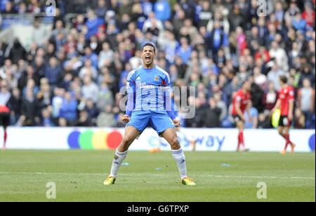 Curtis Davis de Hull City célèbre son deuxième but marqué par Nikica Jelavic lors du match de la Barclays Premier League au Cardiff City Stadium, à Cardiff. Banque D'Images