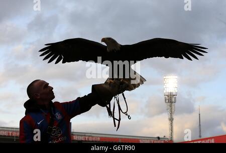 Football - Barclays Premier League - Crystal Palace v Manchester United - Selhurst Park.La mascotte du Crystal Palace Kayla The Eagle avec un maître avant le match Banque D'Images