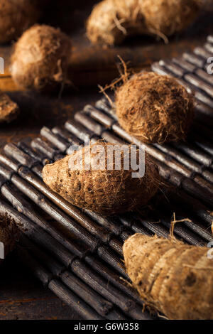 Brown biologiques crus Eddoes prête pour la cuisson Banque D'Images