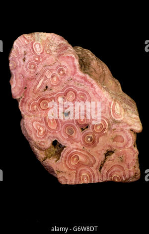 Rhodochrosite est un carbonate de manganèse minéral avec composition chimique MnCO3, stalactite, Argentine Banque D'Images