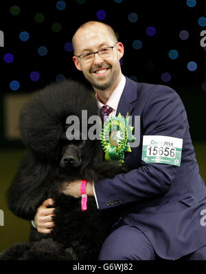 Ricky, âgé de deux ans, en compagnie de son maître Jason Lynn, après avoir remporté le prix du plus prestigieux salon canin au monde après avoir été jugé le meilleur spectacle de cette année au Crufts au NEC de Birmingham. Banque D'Images