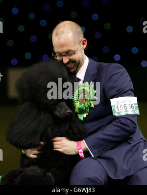 Crufts 2014 Banque D'Images