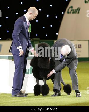 Crufts 2014 Banque D'Images