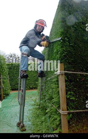 Haut-ho! Le travail va à Edward Heyes en donnant au kilomètre de Lawson Cypress de The Amazing Hedge Puzzle sa coupe annuelle. Edward et son frère Lindsay construisit le labyrinthe en 1977 à Symonds Yat près de Ross-on-Wye dans le Monbucshire pour commémorer le Jubilé d'argent de la reine Elizabeth II Les haies de deux mètres de haut prennent six semaines à tondre - et le côté ensoleillé de la haie obtient une deuxième coupe plus tard dans l'année. Le labyrinthe est organisé en sept octagons concentriques et le plus court des 12 routes vers le centre est de 180 mètres, mais les visiteurs peu méfiants peuvent découvrir 13 autres routes qui sont des extrémités mortes. Les labyrinthes ont Banque D'Images