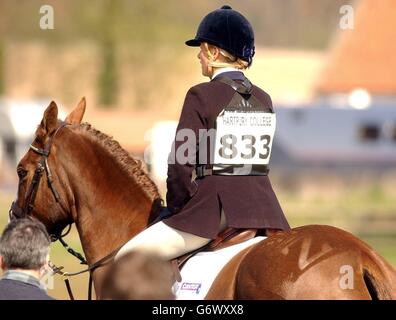 Zara Phillips, fille de la princesse royale et petite-fille de la reine, à bord de Springlease Macaroo, aux épreuves de chevaux Burnham Market International à Norfolk. Miss Phillips, 22 ans, espère se rendre à Athènes dans le cadre de l'équipe de trois jours de la Grande-Bretagne. Banque D'Images