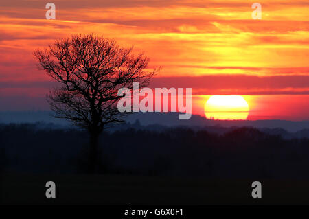 Le coucher du soleil près d'Ashford, dans le Kent, tandis que certaines parties de la Grande-Bretagne ont profité de leur temps le plus chaud de l'année aujourd'hui, alors que les températures ont atteint 20 °C (68 °F) pour la première fois en près de six mois. Banque D'Images