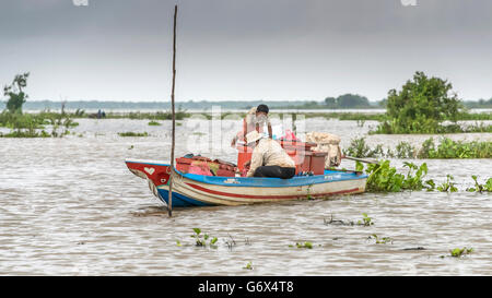 Le prélèvement de poissons sur le lac Tonlé Sap pendant la mousson, près de Kampong Phluck, Cambodge Banque D'Images