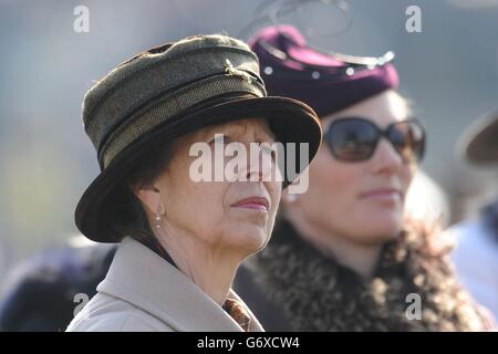 Les courses de chevaux - 2014 - Festival de Cheltenham Ladies Day - l'Hippodrome de Cheltenham Banque D'Images