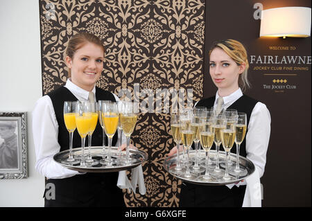 Les courses de chevaux - 2014 - Festival de Cheltenham Ladies Day - l'Hippodrome de Cheltenham Banque D'Images