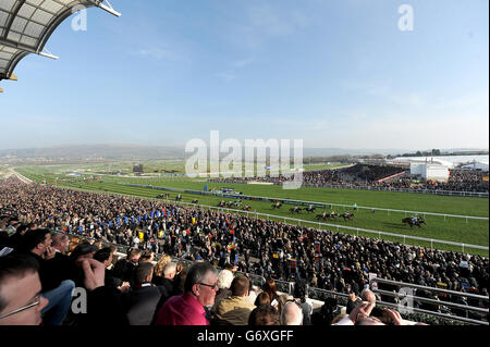 Vue panoramique sur les courses pour les clients de l'hippodrome de Cheltenham le jour des dames Banque D'Images