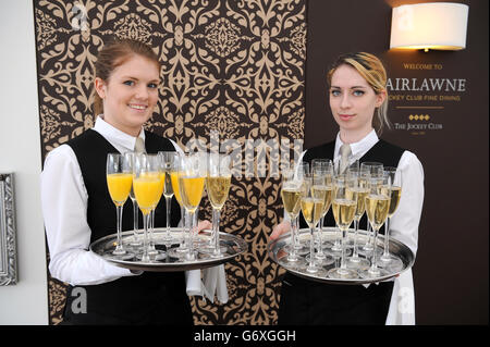 Les courses de chevaux - 2014 - Festival de Cheltenham Ladies Day - l'Hippodrome de Cheltenham Banque D'Images