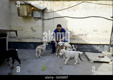 Image non publiée du 12/03/14 du Docteur Abdul Hadi, 31 ans, de la province de Logar, en Afghanistan, avec des chiots qui ont été sauvés et qui cherchent à être réhébergés à l'œuvre de charité Nowzad Dogs basée à Kaboul, en Afghanistan, une œuvre de charité britannique créée par l'ancien sergent Marine Royal Pen Farthing en 2007. Banque D'Images