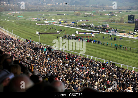 Les Racegoers regardent l'action depuis le stand lors de la Gold Cup Day à l'hippodrome de Cheltenham Banque D'Images